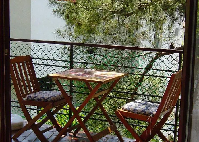 Samsa - Borik * 로비니