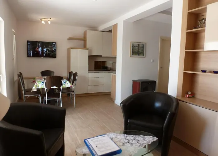 Samsa - Borik 로비니