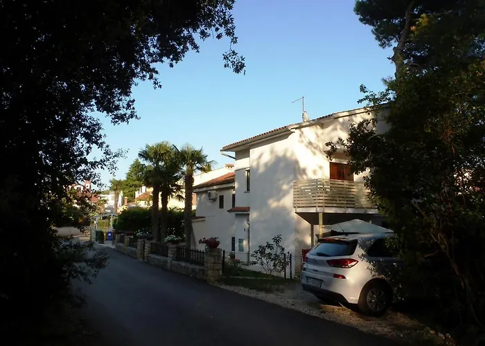 Samsa - Borik