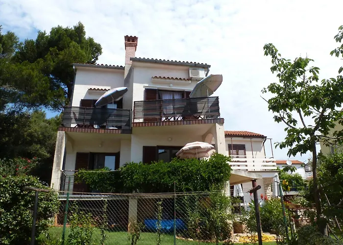 Samsa - Borik 로비니