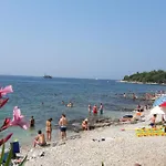 Samsa - Borik *