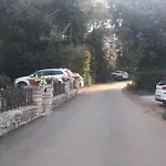 Samsa - Borik Rovinj