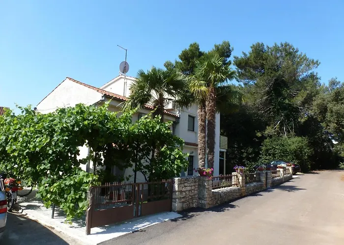 Samsa - Borik Ρόβινι