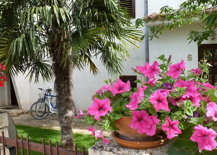 Samsa - Borik Apartmán Rovinj