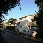 Samsa - Borik