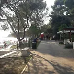 Samsa - Borik *